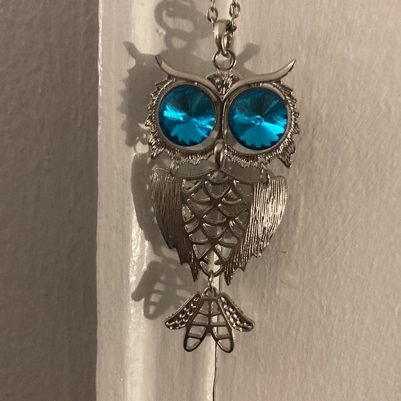 Brand New in Box Absolutely Gorgeous Infinity Slip On Blue Eyes Owl Necklace - Picture 5 of 17